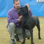 קורלאון זאוס ג'רסי קורסו